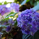 Apartamento Pixel Trogir