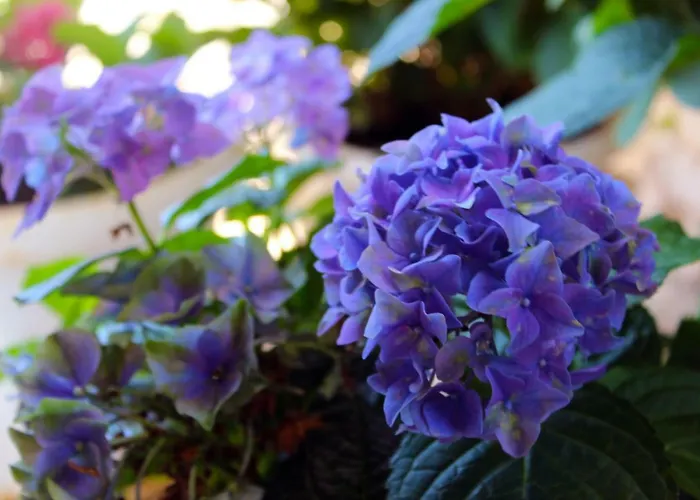 Appartement Pixel Trogir